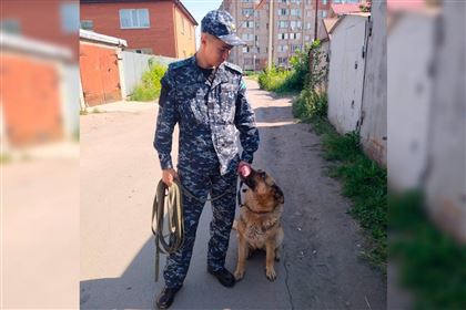 Какие преступления помогают раскрыть служебные собаки в Казахстане Какие преступления помогают раскрыть служебные собаки в Казахстане
