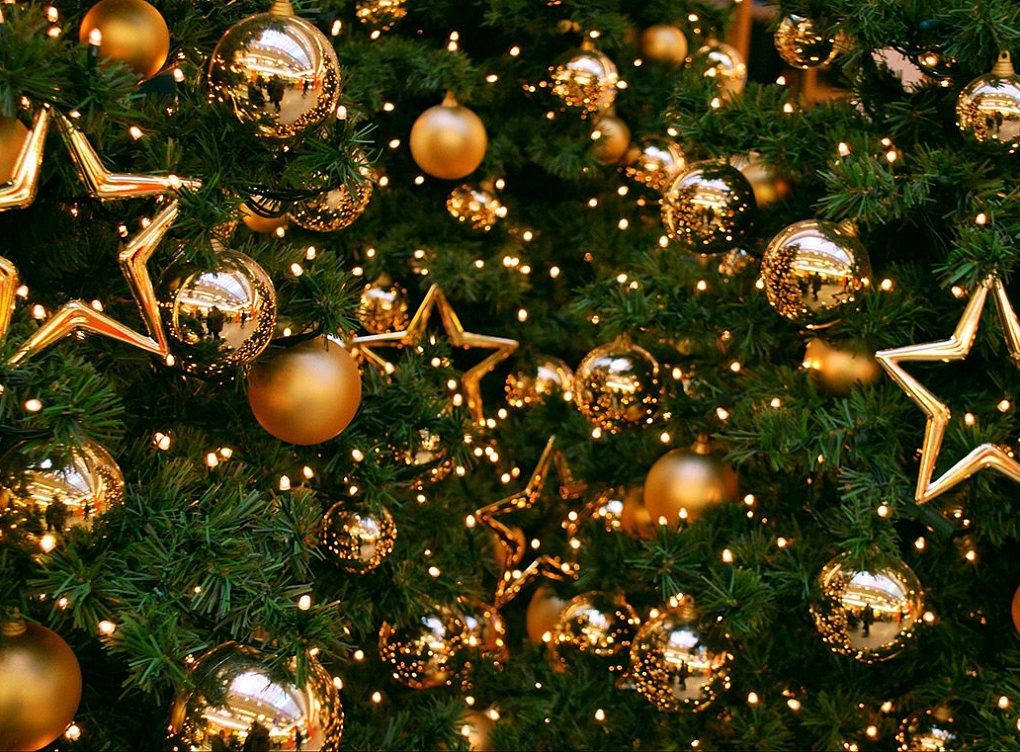 В Алматы зажгут главную новогоднюю елку города 