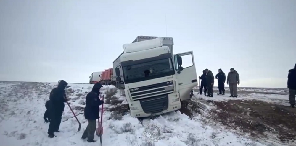 29 фур освободили спасатели МЧС в Мангистауской области