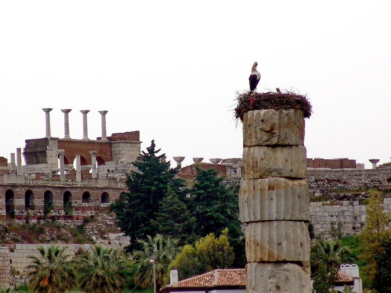 Эфес: культ Великой матери и пришествие Богородицы 