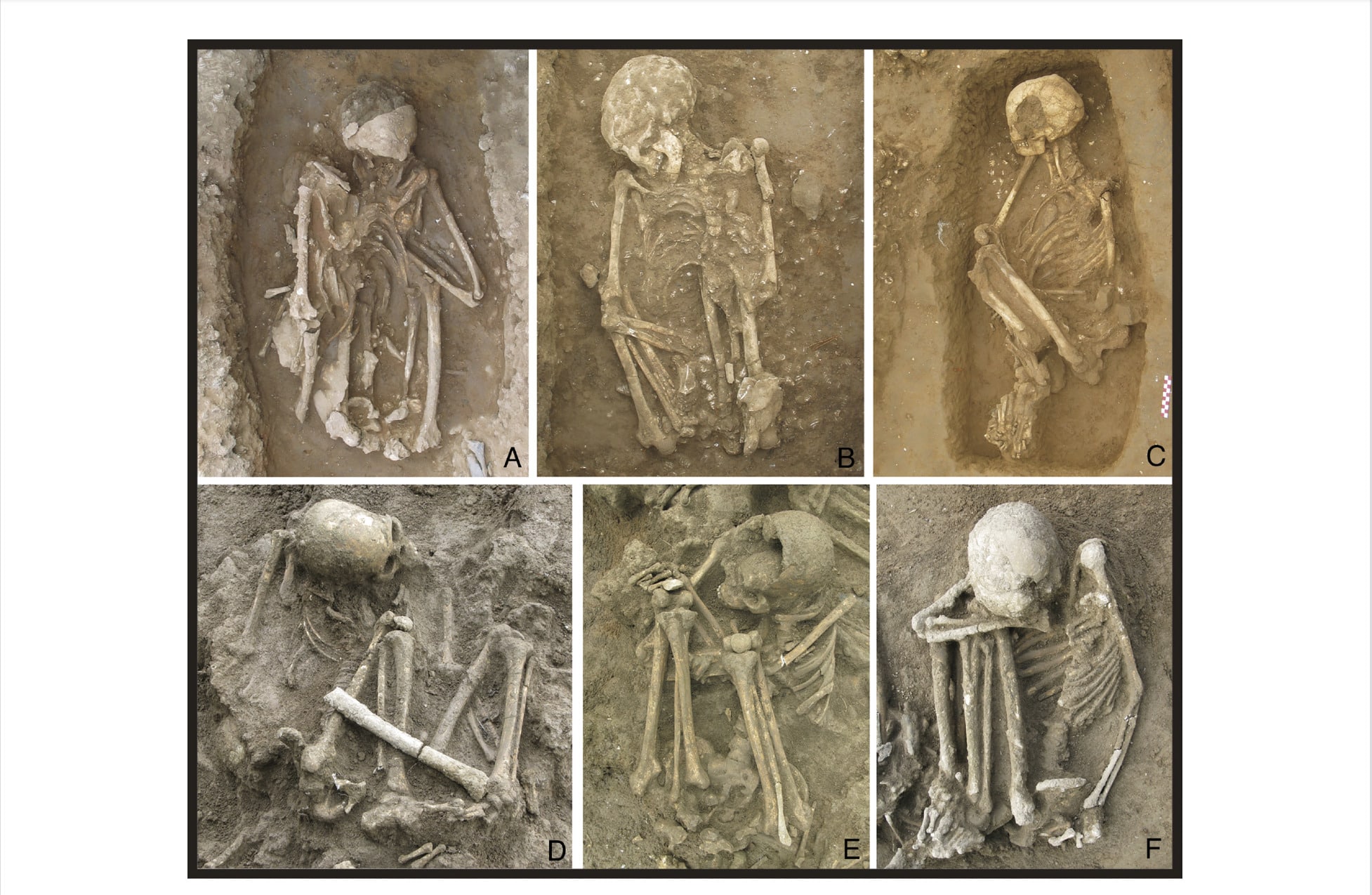 Тела коптили на огне: ученые нашли древнейшие мумии в истории 