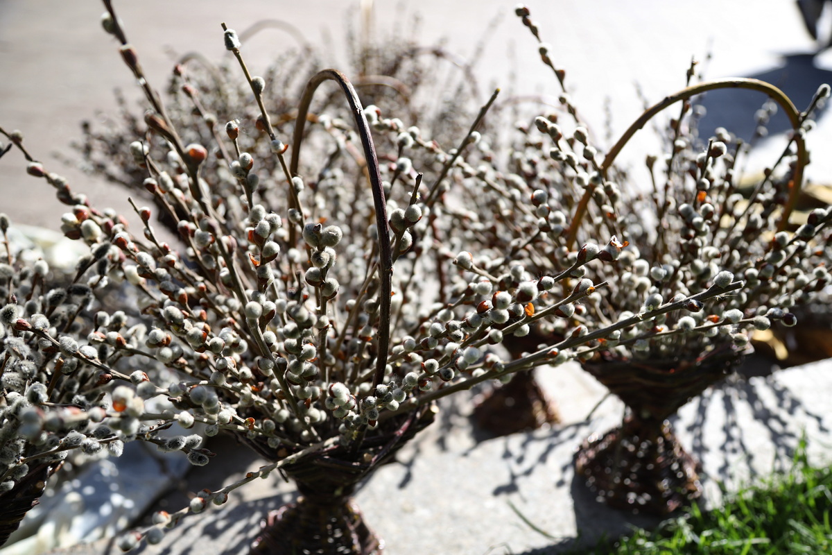 От входа до Воскресения Хроника Страстной недели 