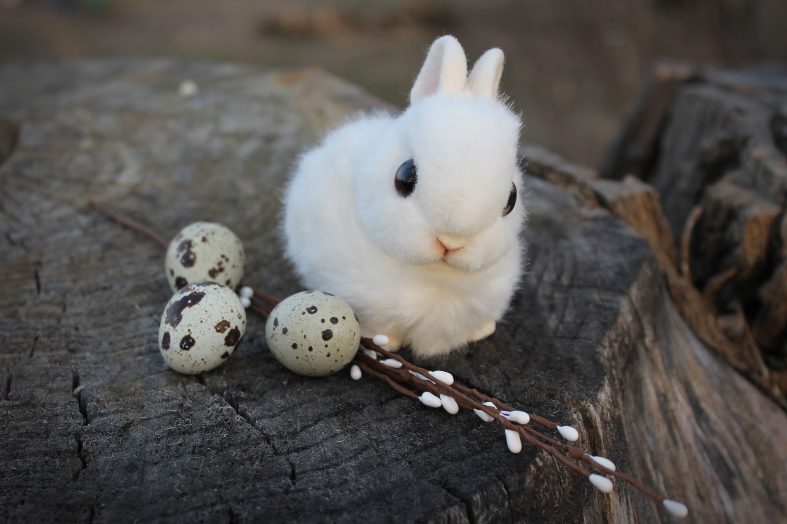 Почему кролик стал символом Пасхи на Западе 