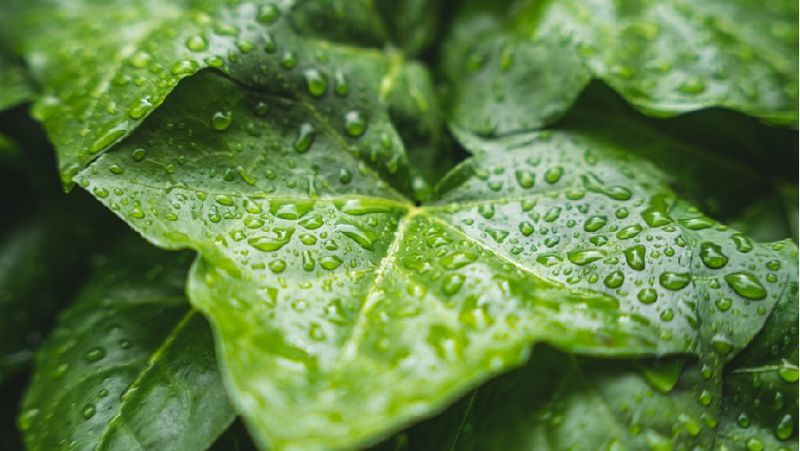 На Серафима Саровского надо верить в чудеса