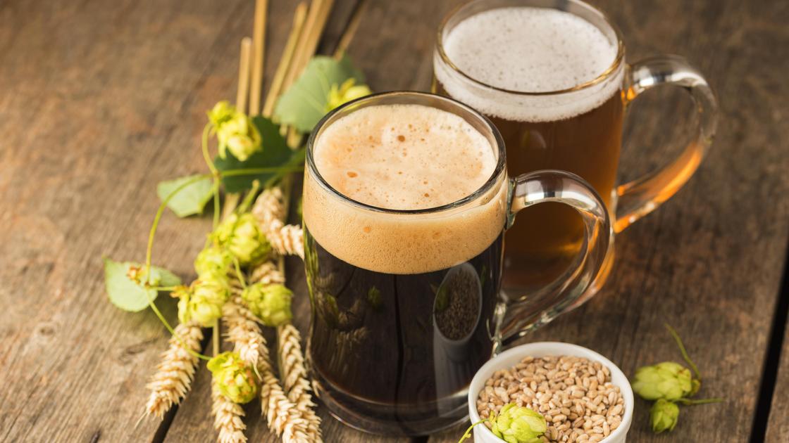 Учёные: пиво может стать дороже, менее вкусным, а виноват в этом климат