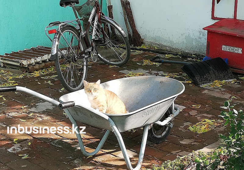 Город трех рек