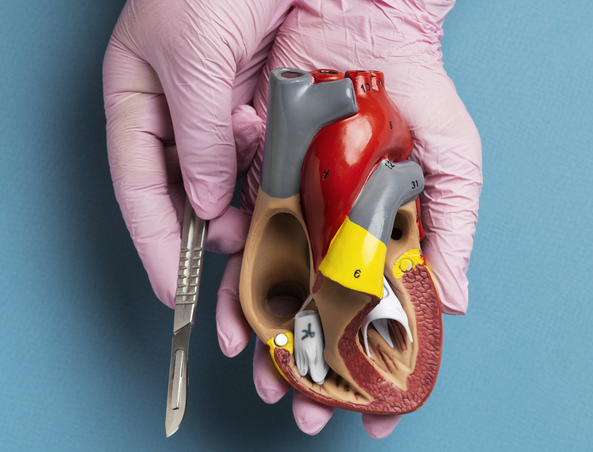 Казахстанские врачи просят принять «презумпцию согласия» посмертного донорства