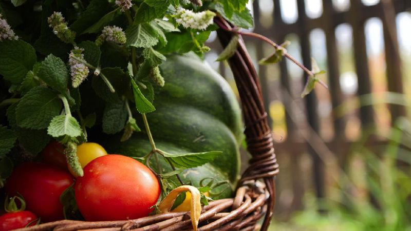 Будешь смотреть по сторонам – счастье потеряешь: советы и приметы Петрова дня