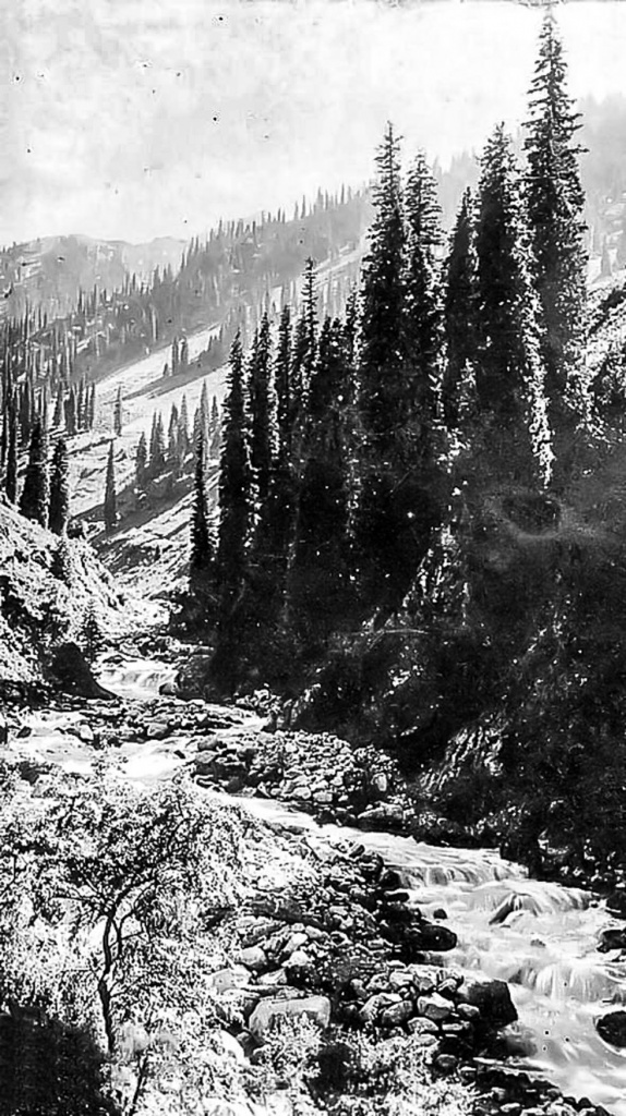 news5722.jpg news5722.jpg