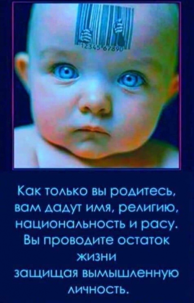 news5202.jpg news5202.jpg