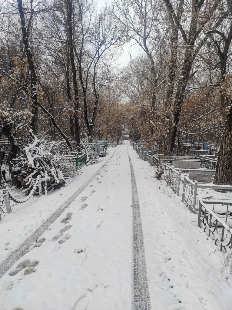 news4817.jpg news4817.jpg