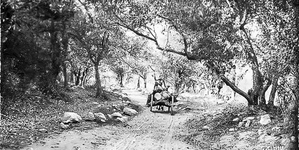 news5718.jpg news5718.jpg