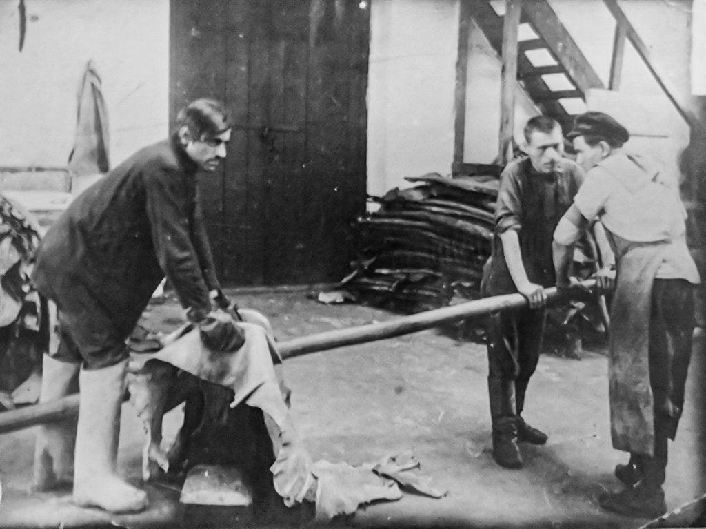 news4985.jpg news4985.jpg