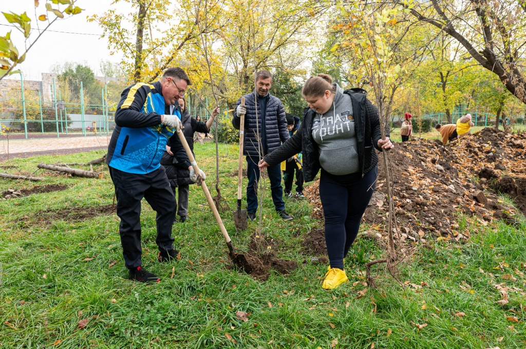 Школа Островского посадка деревьев