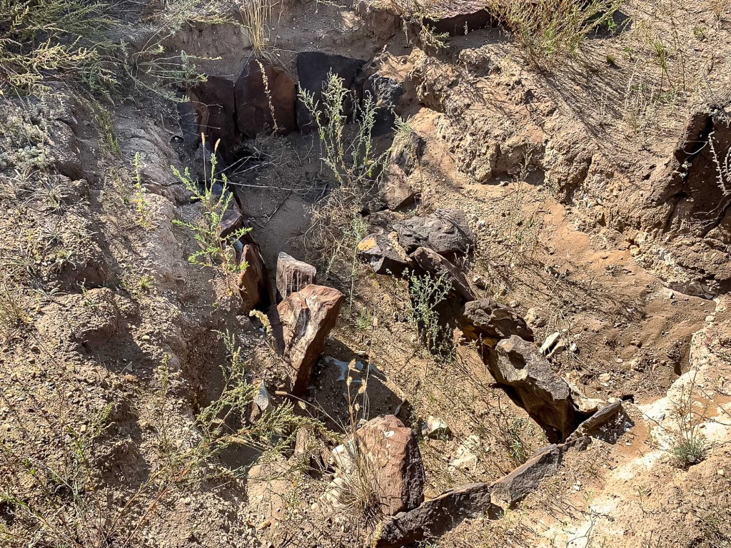 news4091.jpg news4091.jpg