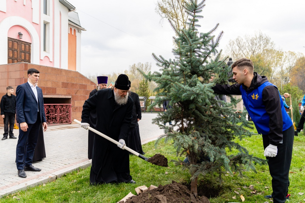 Древо Жизни Посадка деревьев