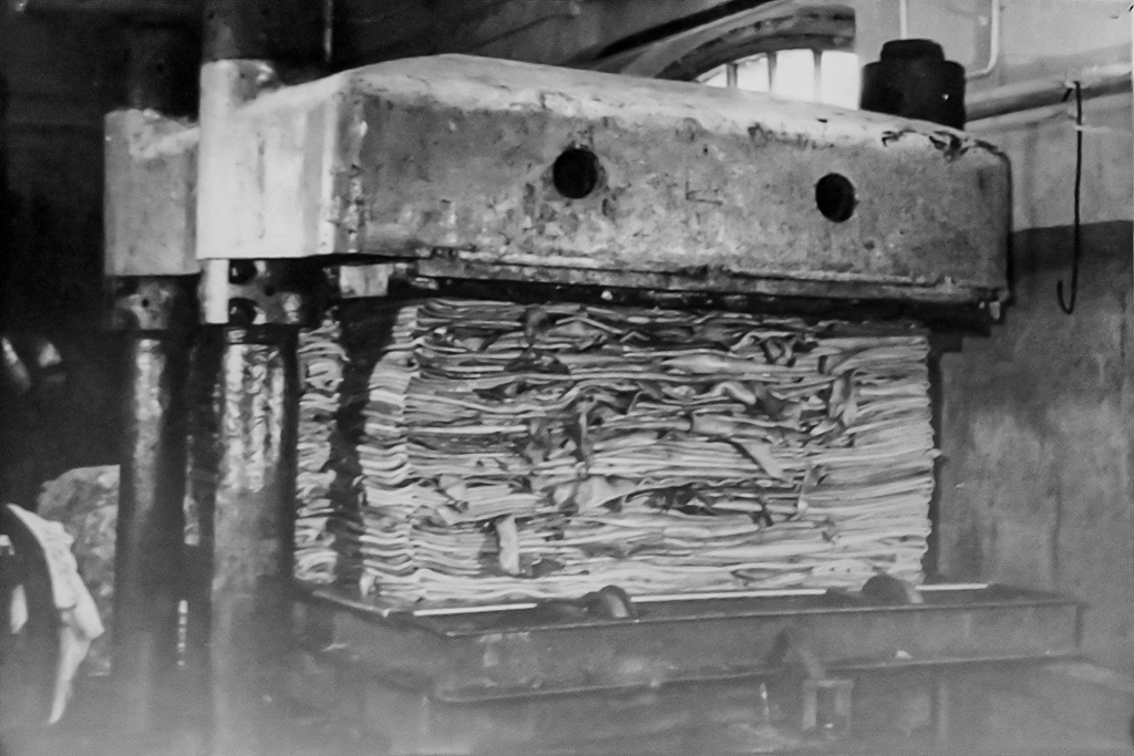 news4983.jpg news4983.jpg