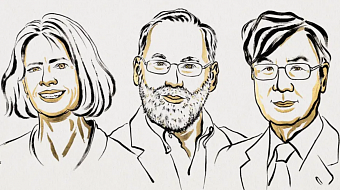 Открытия о работе иммунитета удостоены Нобелевской премии 