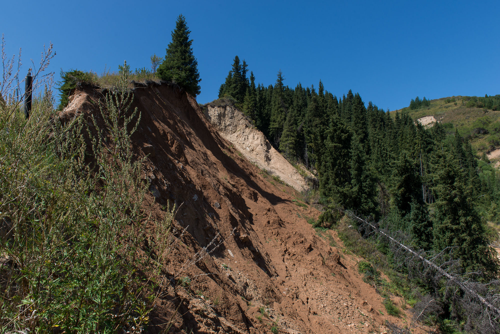 Про книги, чудо и продажу впечатлений