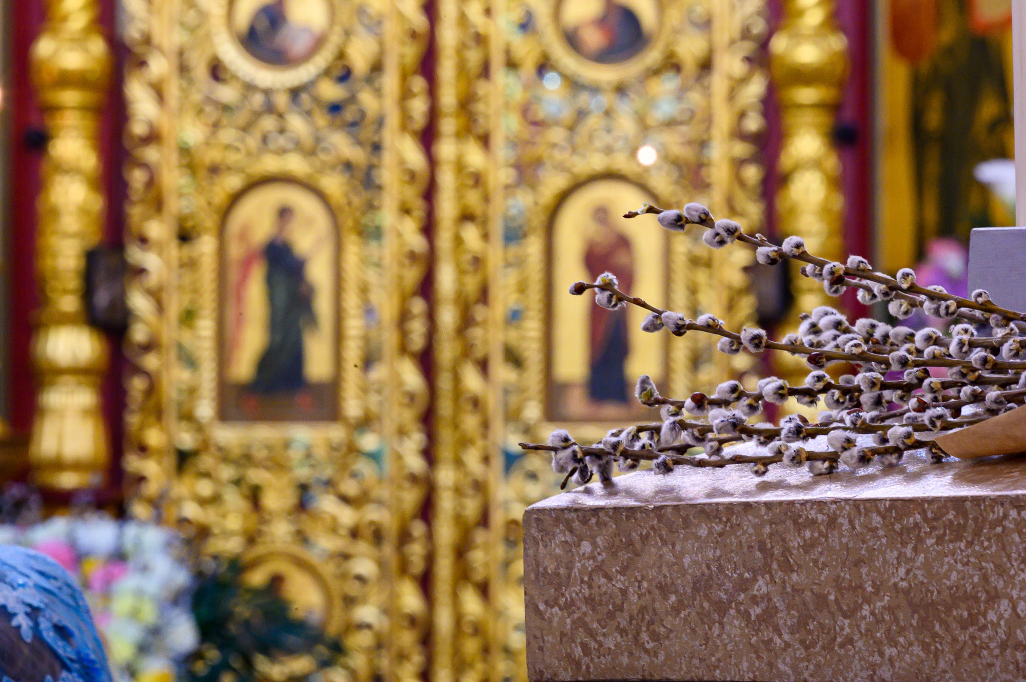 Веточки вербы: как обращаться с одним из символов православной веры