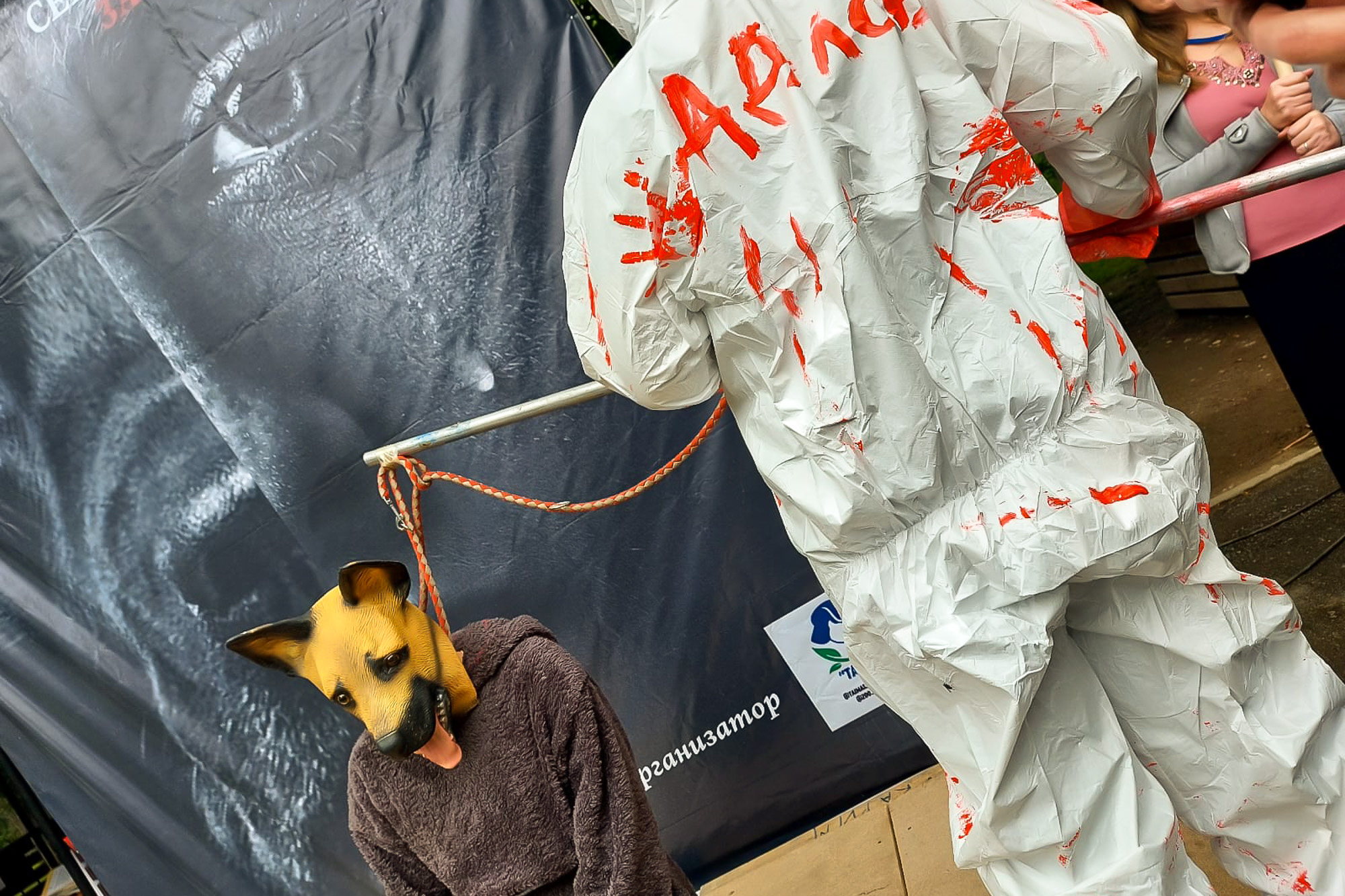 Зоозащитники недовольны новым законом об ответственном отношении к животным