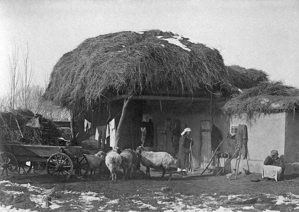 «Могли бы жить не хуже американцев»: каким было население Семиречья в начале XX века?