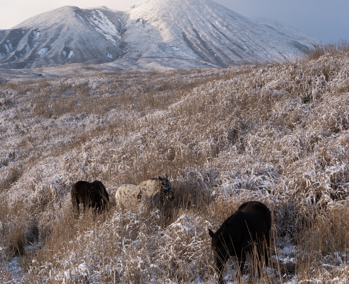 Спасатели МЧС нашли пропавших пастухов
