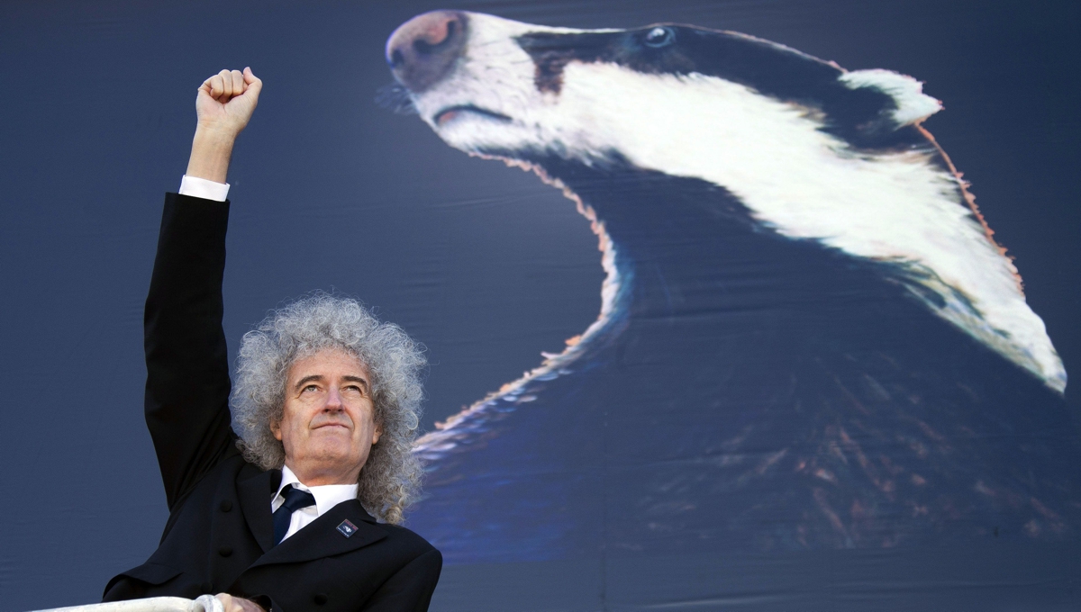 Брайан Мэй: запомните меня тем, кто защищает природу