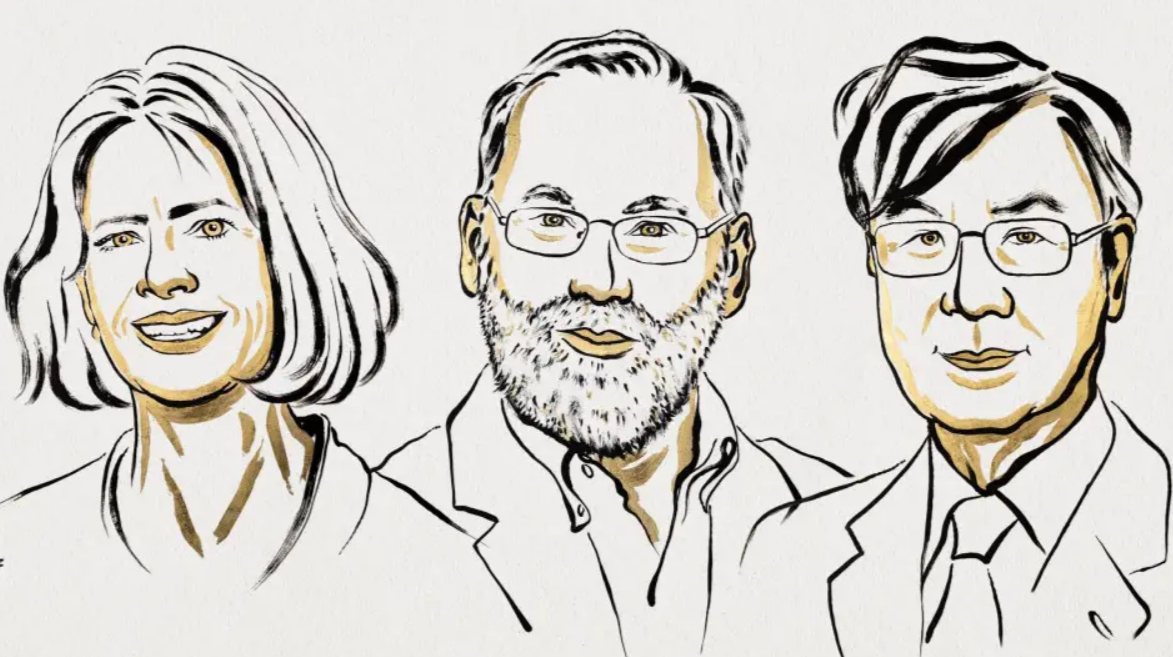 Открытия о работе иммунитета удостоены Нобелевской премии 