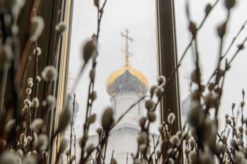 Седмица Ваий. Самое важное на этой неделе