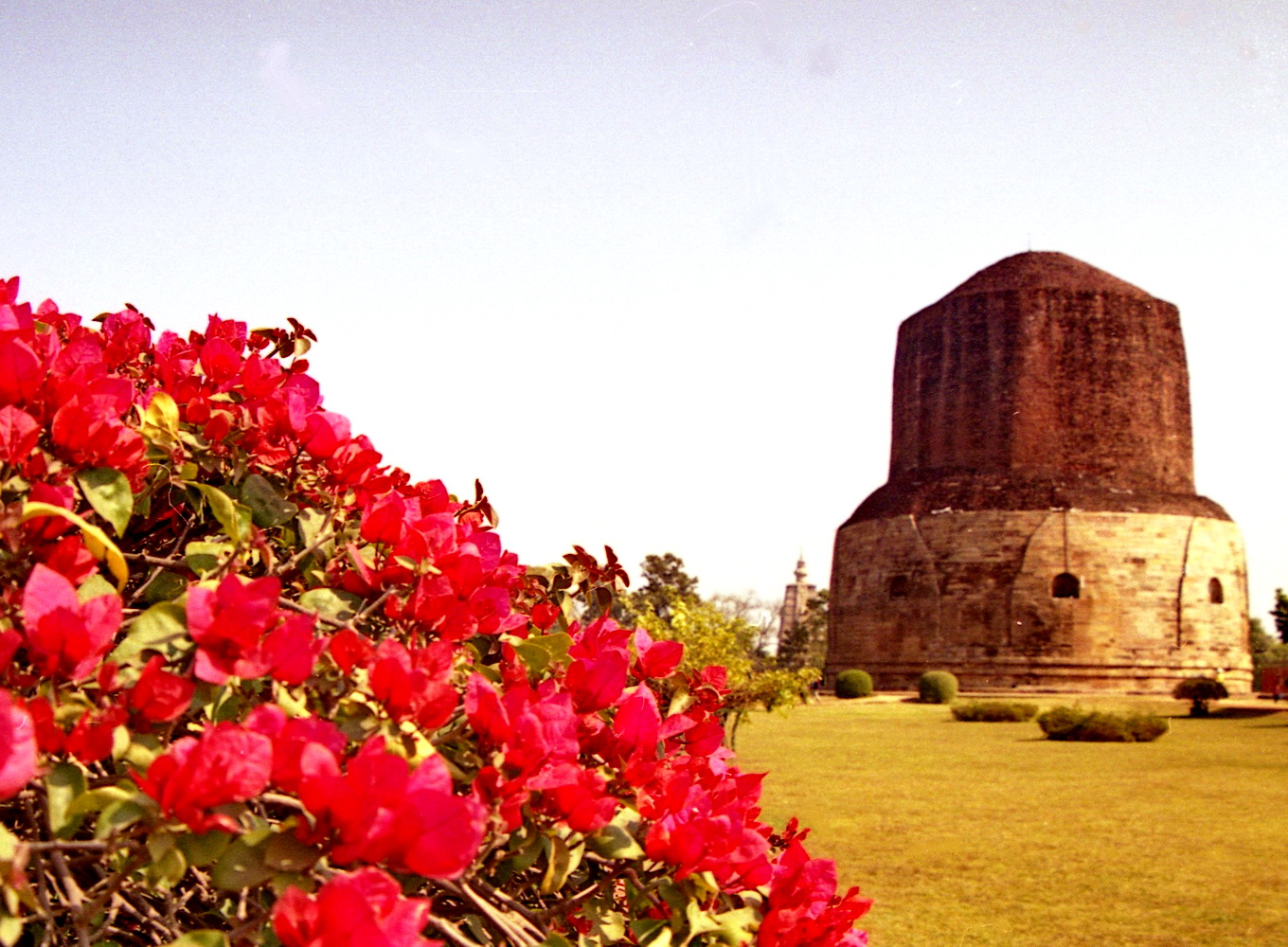 По дорогам Будды Шакьямуни. Сарнатх: здесь повернулось Колесо