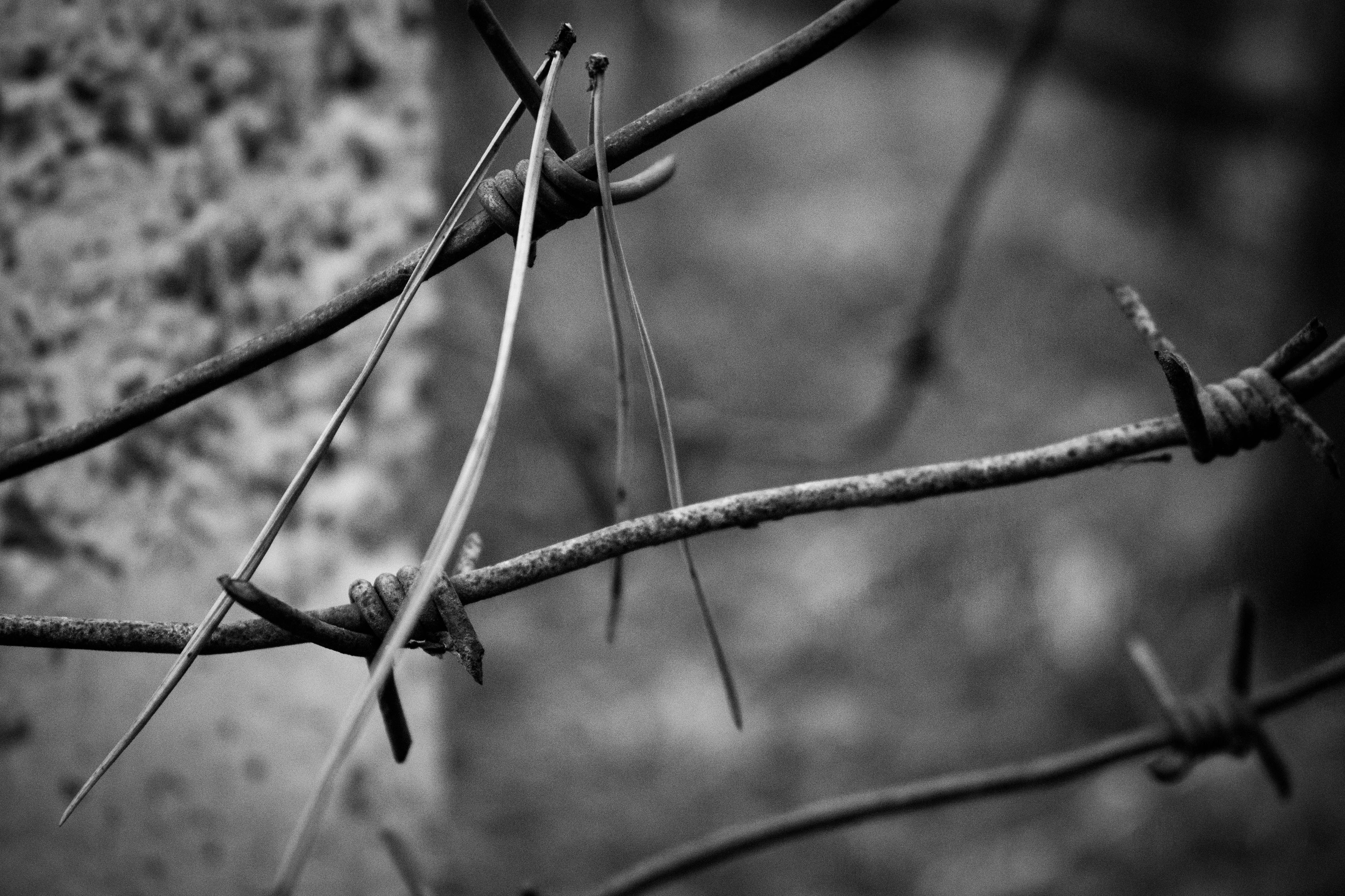 Пожизненно лишать свободы будут в Казахстане за производство наркотиков