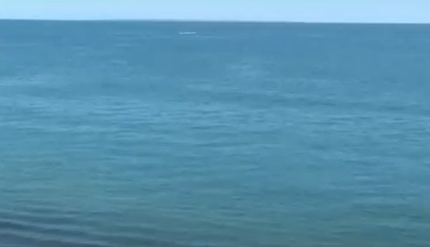 Пенсионер создал зеленый оазис на побережье Алаколя