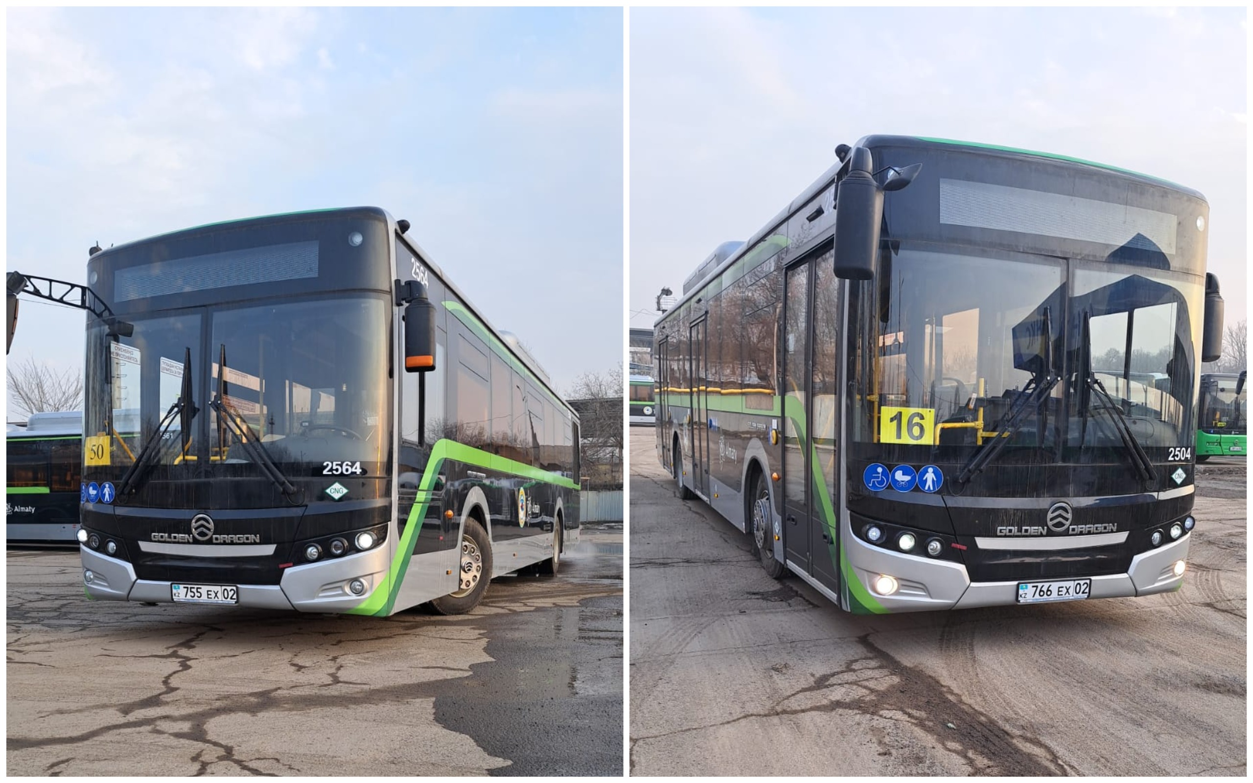 Новые автобусы появились на дорогах Алматы 