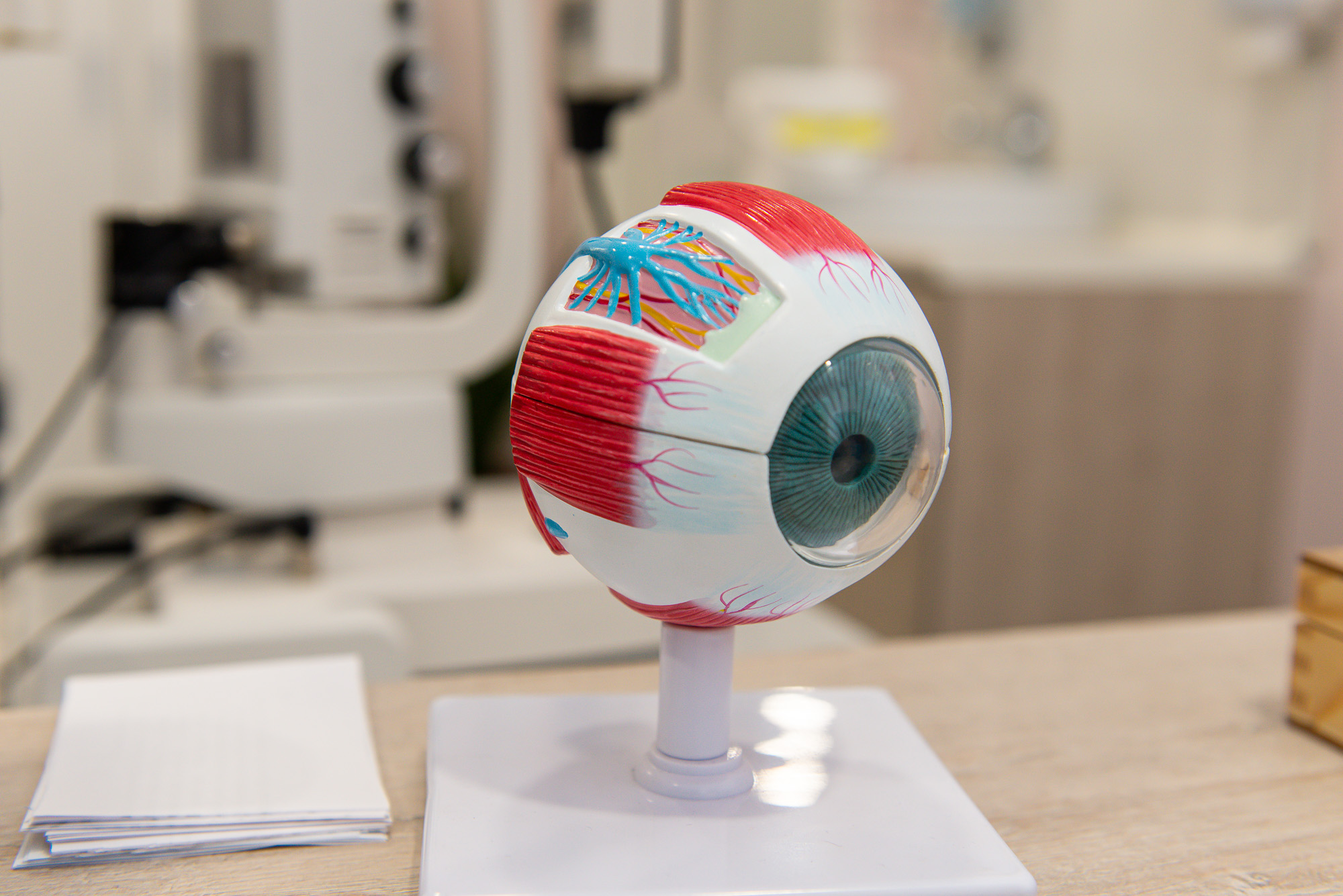 Врач-офтальмолог: «Пандемийные годы ударили не только по нашим легким, иммунной системе, но и по зрению, особенно у школьников»