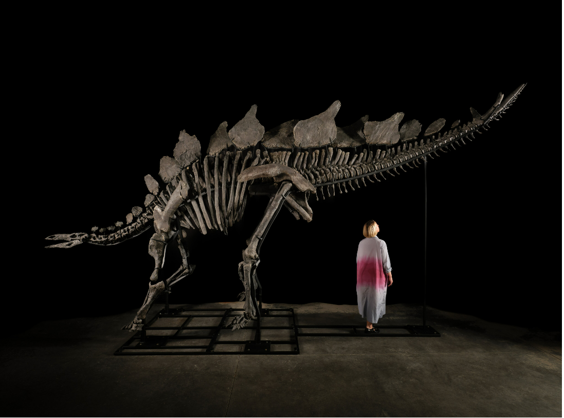 Американский миллионер купил себе скелет динозавра