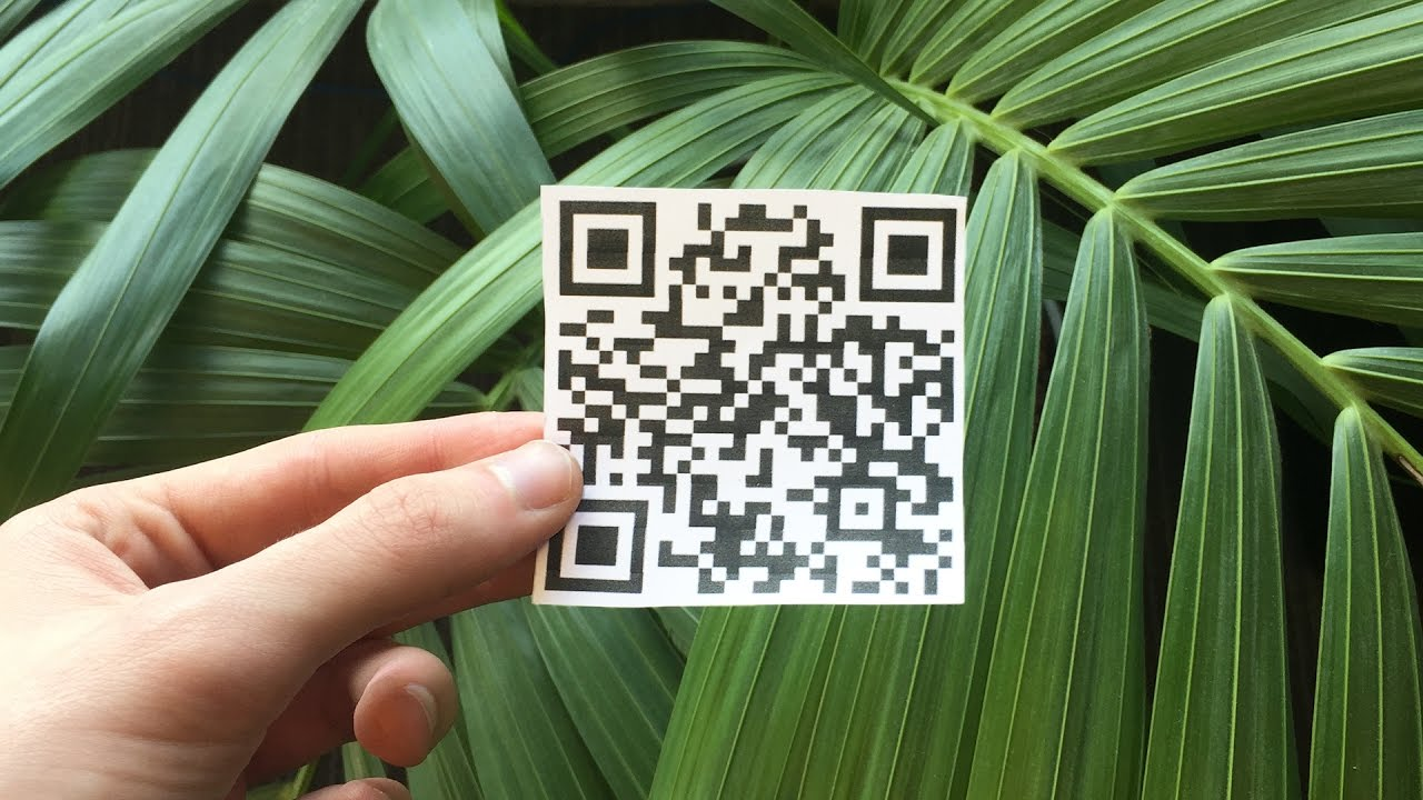 Казахстанские власти введут специальные QR-коды для иностранных туристов