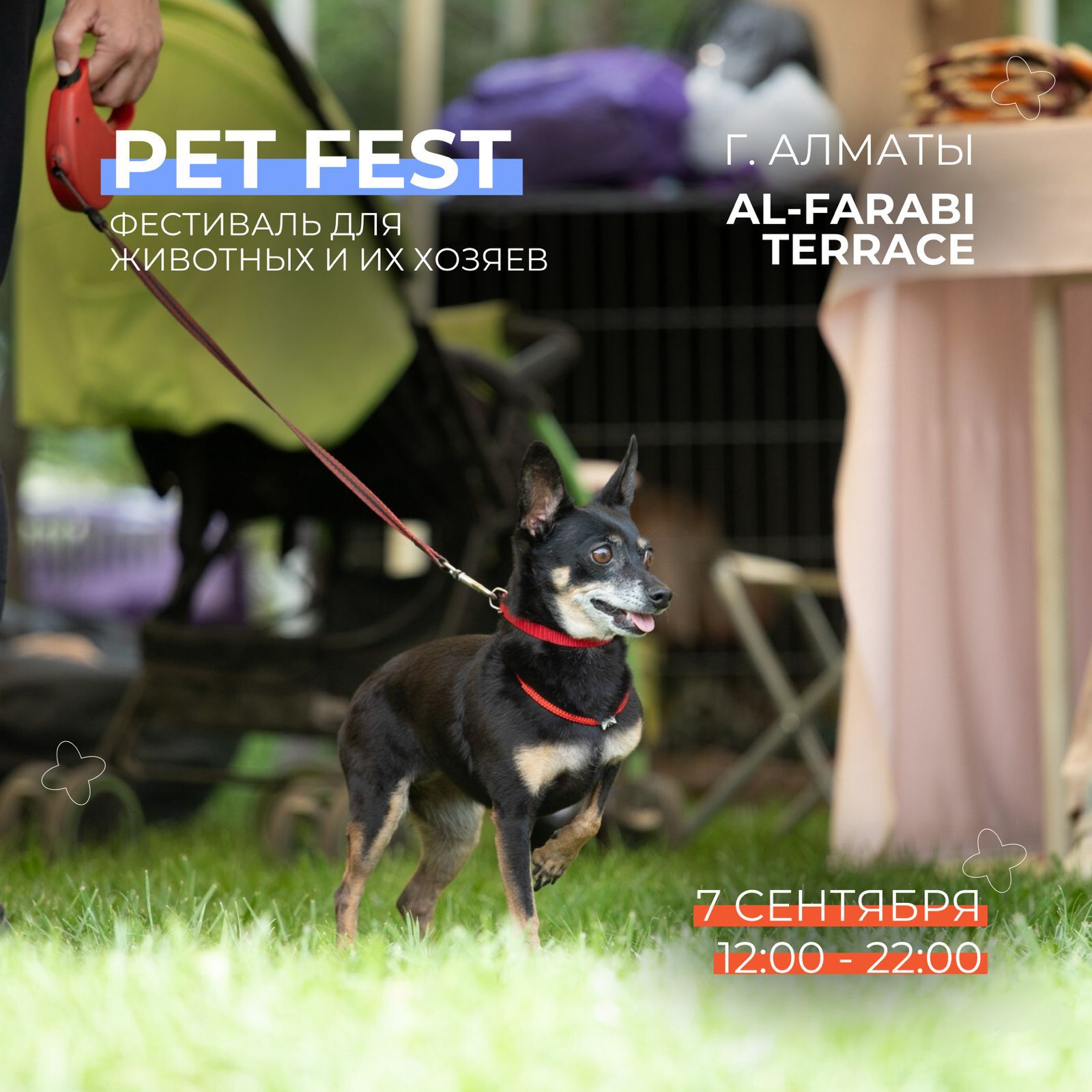 Фестиваль для животных Pet Fest-2024 пройдет в Алматы 