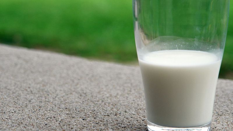 Выпил кефира – лишился прав: какие продукты дают промилле на алкотестере