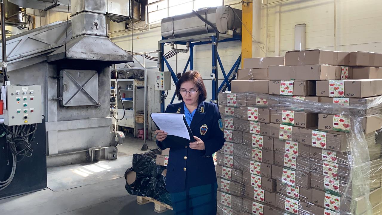 Опасный вирус нашли в семенах помидоров 