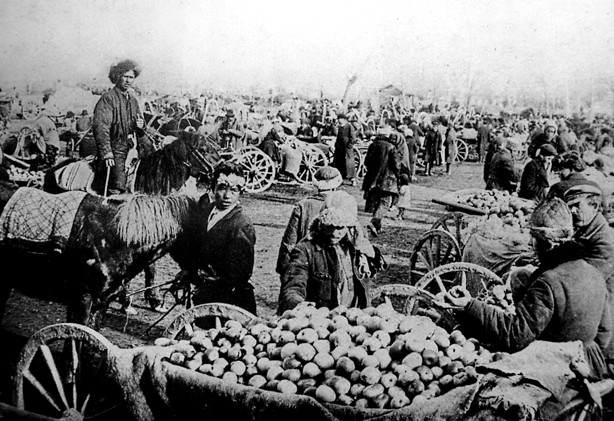 Увядшая слава: правда ли, что в Верном и Алма-Ате яблоки продавались возами? 