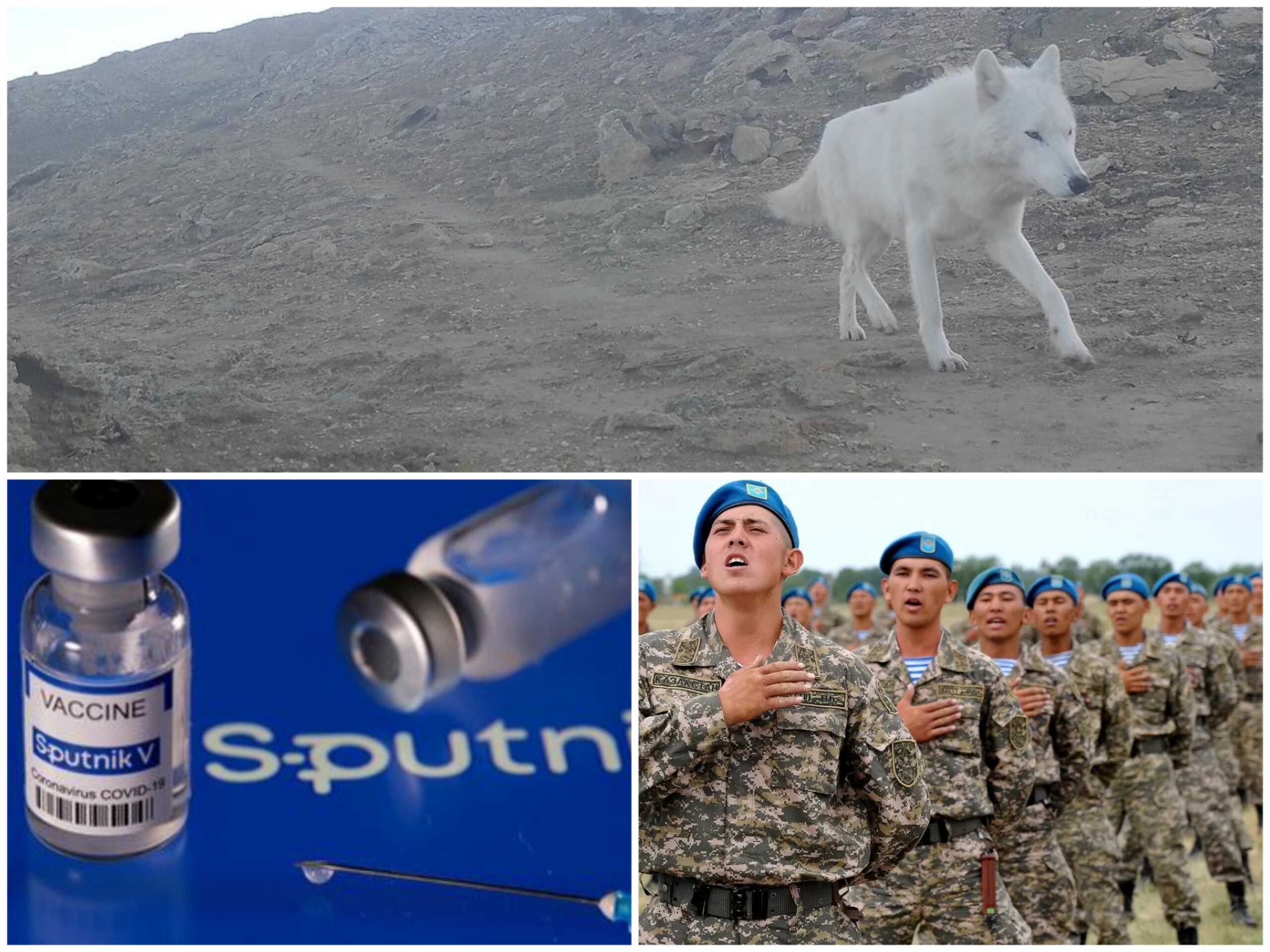 Главное на 12 января 