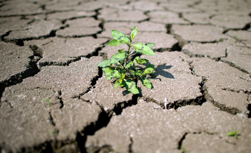 Штормовое предупреждение по западу и югу Казахстана