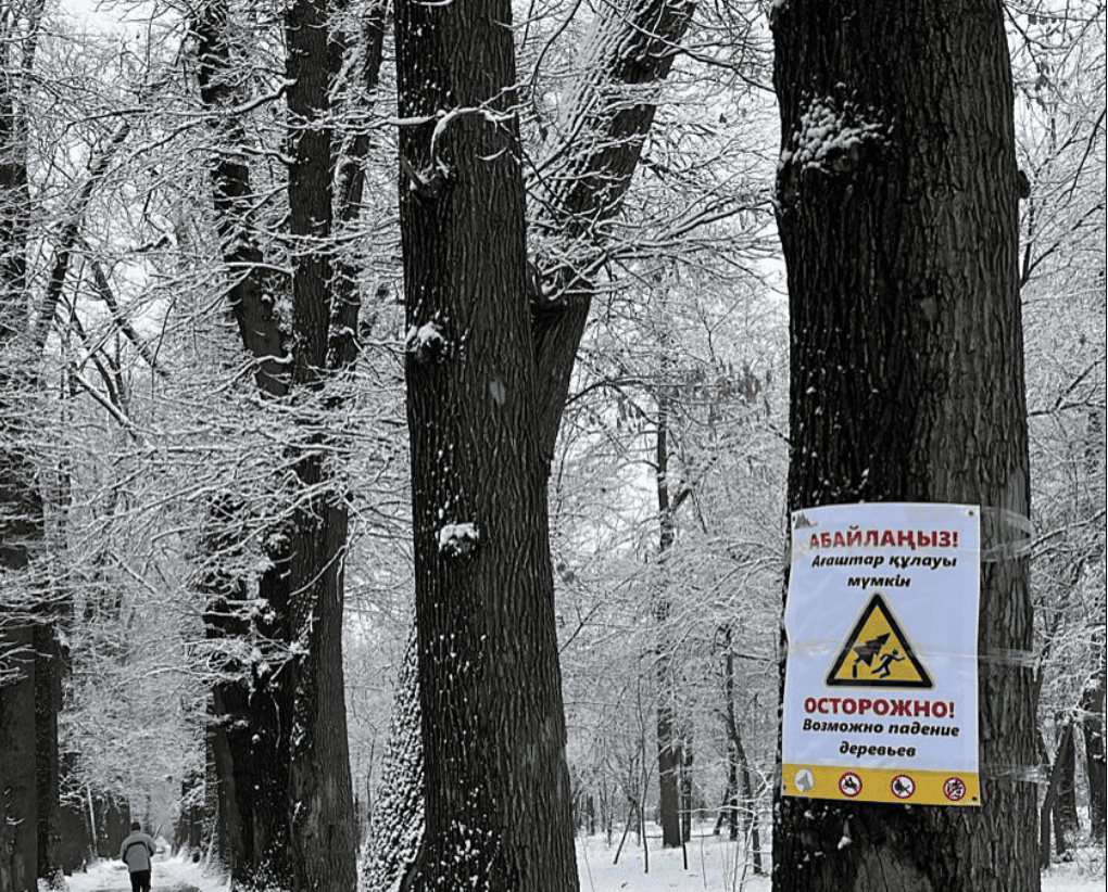 Важное обращение к алматинцам-посетителям Рощи Баума