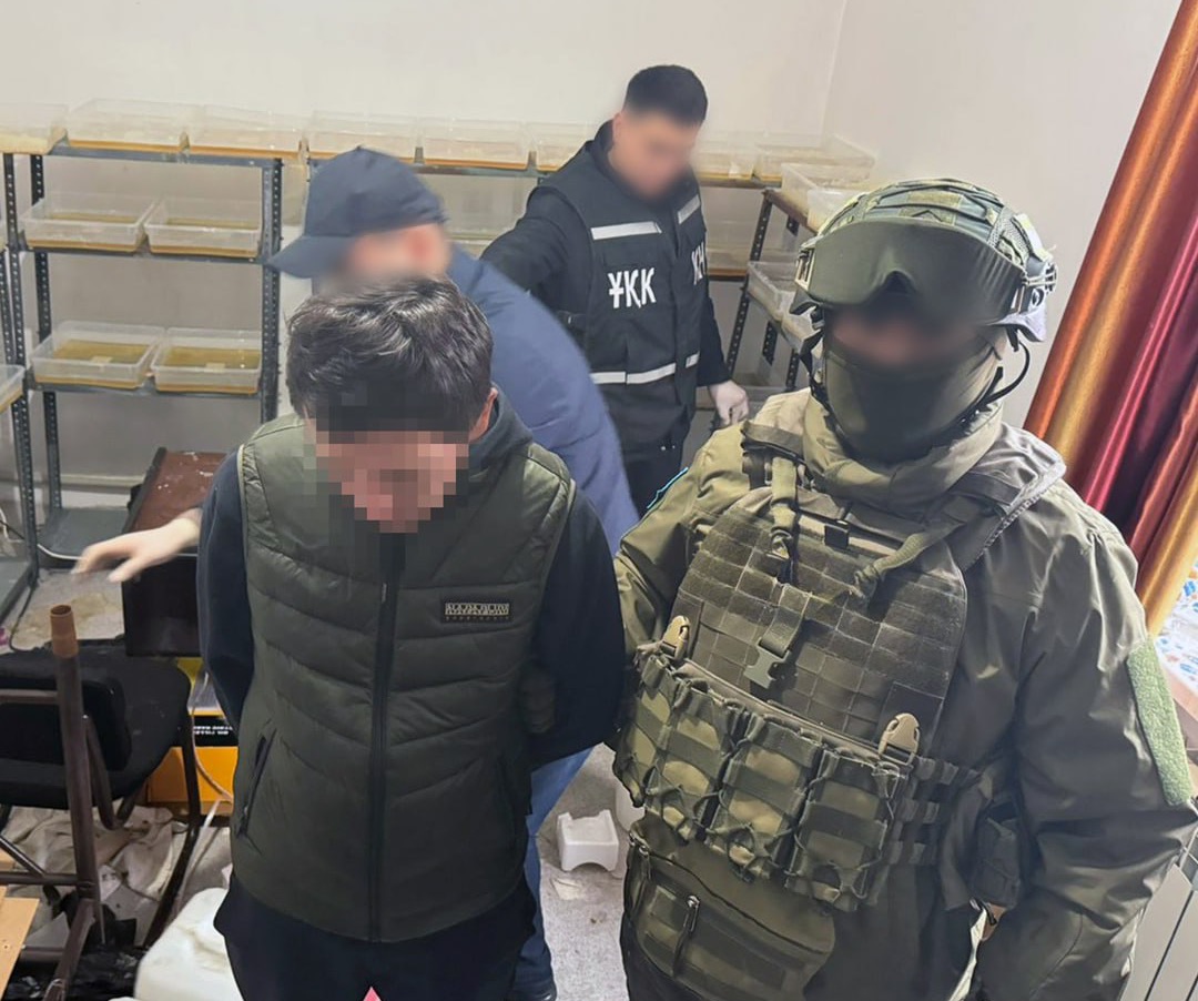 Подпольную нарколабораторию ликвидировали в Алматы