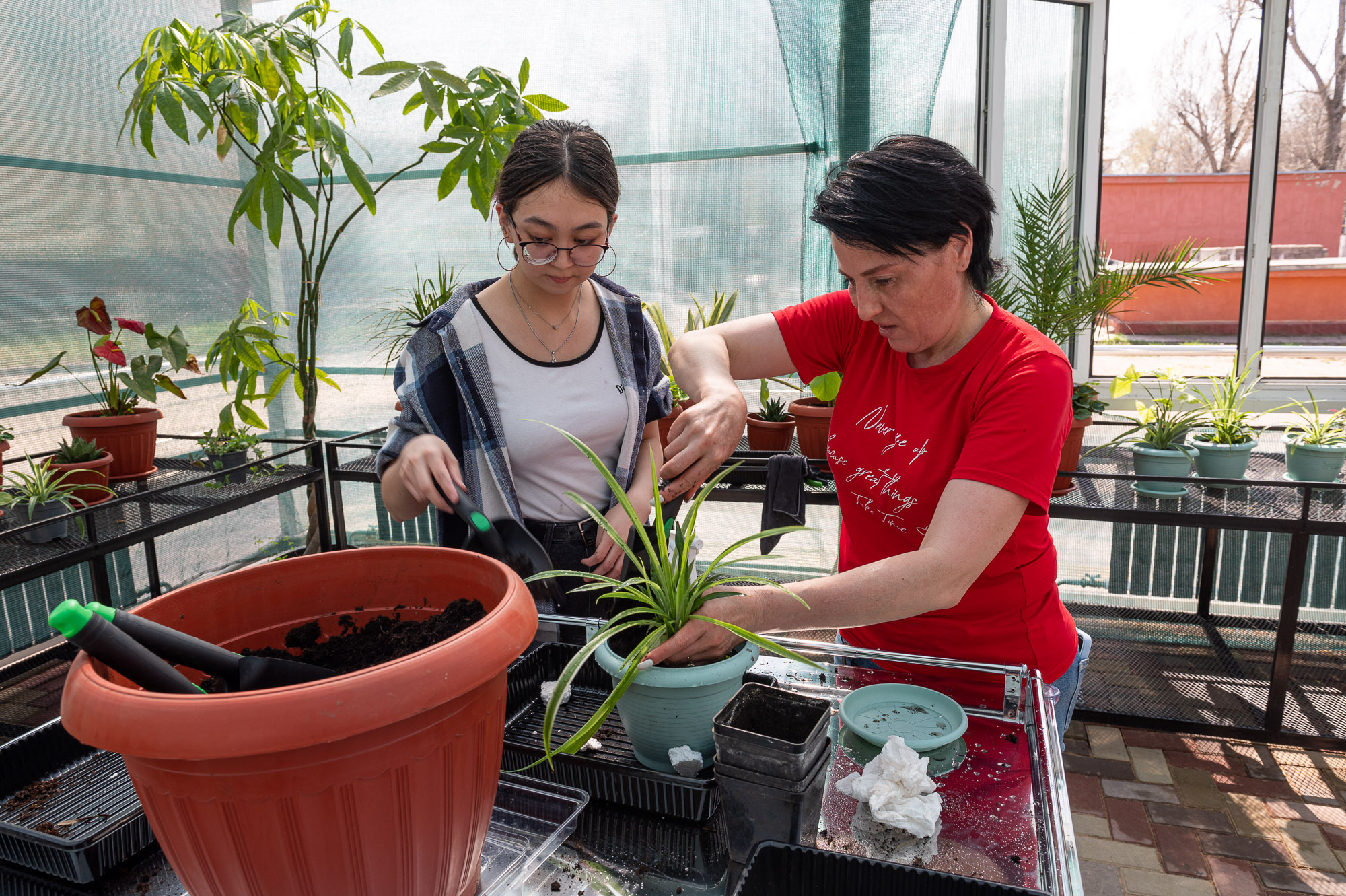 В школе им. Островского прошел первый мастер-класс по цветоводству для слабовидящих детей  