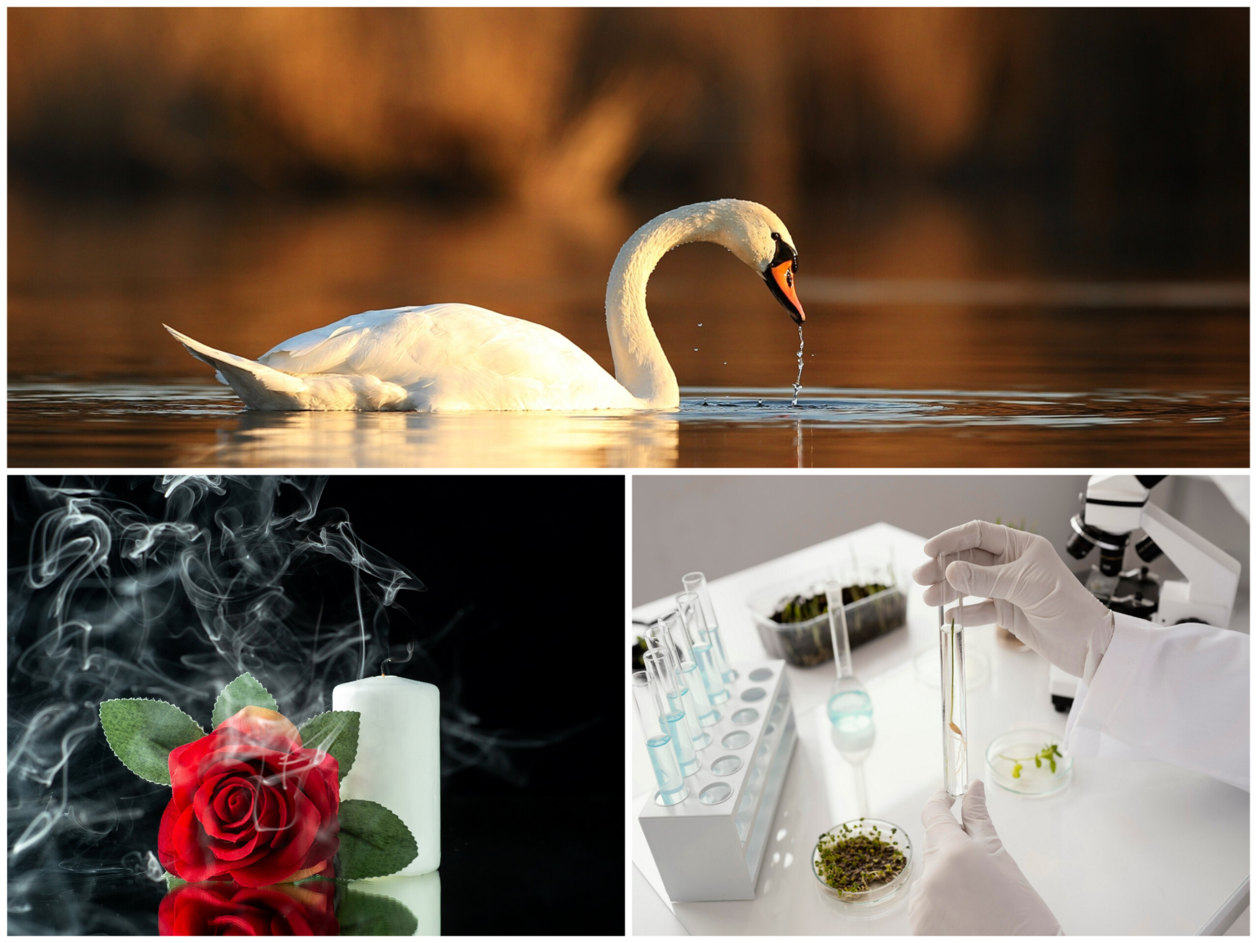 Главное на 16 января 