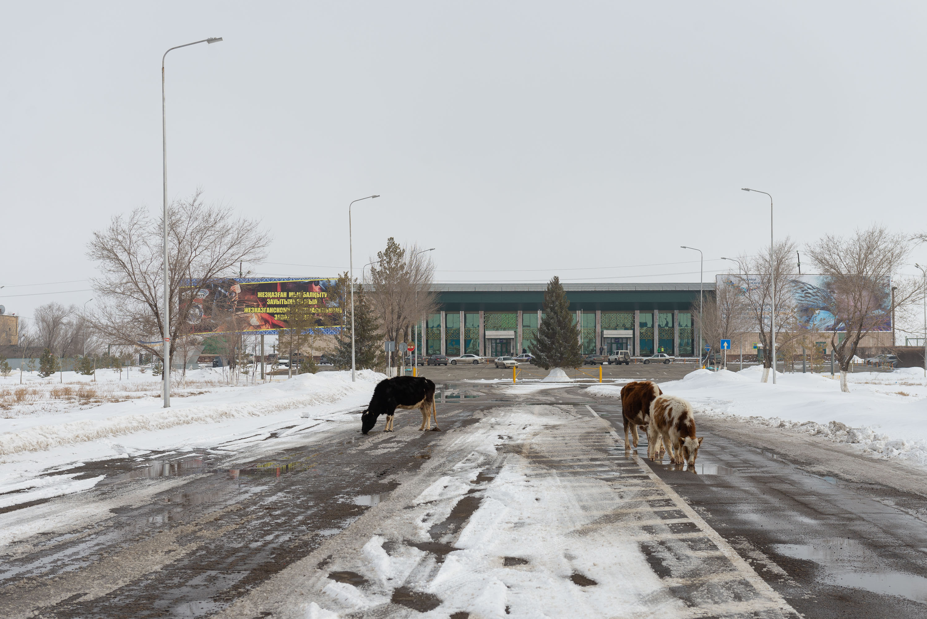 Дом «с приветом» и «замковый» мост