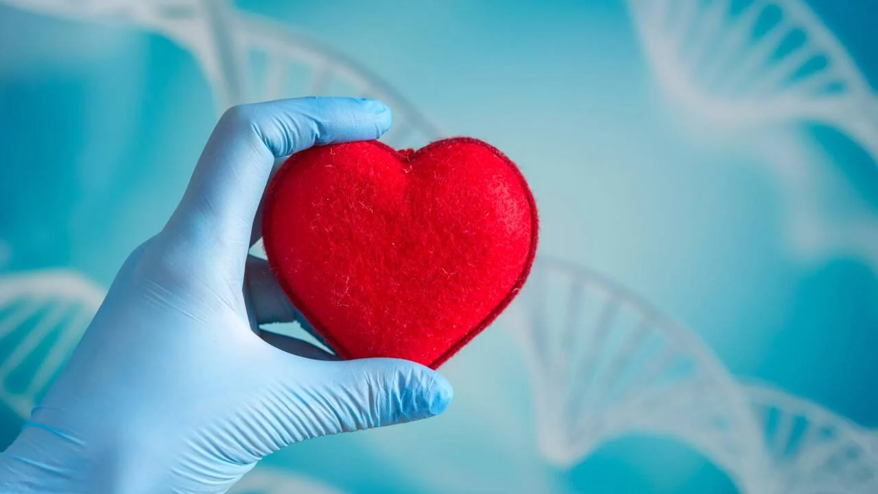 Сколько доноров в Казахстане и сколько жизней они спасли