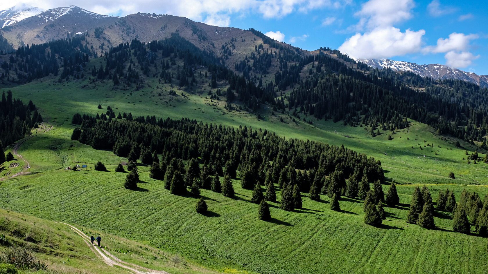 Урочище Кок-Жайляу застроят гостиницами и лыжными трассами